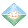 Logo de Ananda Marga Kiirtan
