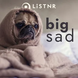 Logo de LiSTNR - big sad (HLS)