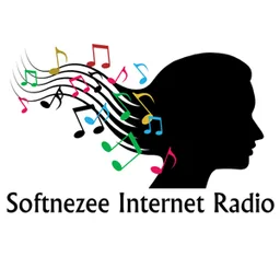 Logo de Softnezee