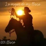 Logo de Lo mejor de mi llano