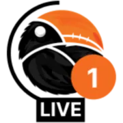 Logo de Big Radio 4 Domaćica