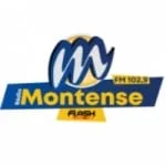 Logo de Rádio Montense Flash Minas 102.9 FM