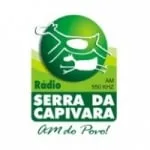 Logo de Rádio Serra da Capivara 550 AM