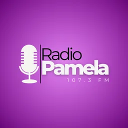 Logo de Radio Pamela FM 107.3