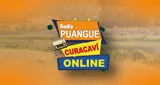 Logo de Radio puangue