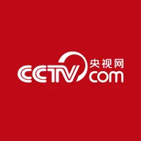 Logo de CCTV-4中文国际伴音