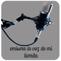 Logo de La voz de mi tierrita 94.1 FM