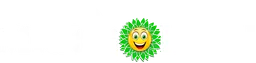 Logo de Radio Midtsjælland