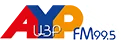 Logo de AYP FM