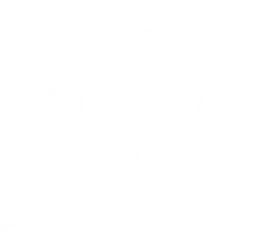 Logo de Droogies