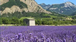 Logo de France Bleu Drôme-Ardèche