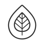 Logo de Slow Radio