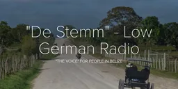 Logo de De Stemm Radio