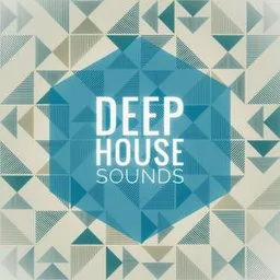 Logo de Deep House Sounds