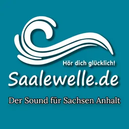 Logo de Saalewelle