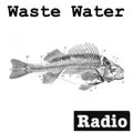 Logo de Waste Water Music