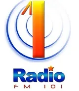 Logo de 100 FM Radio 1