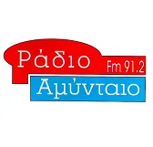 Logo de Αμύνταιο 91.2