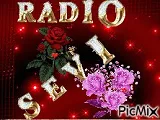 Logo de Sevi