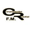 Logo de Dinámica 89.9 FM