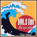 Logo de Blue Wave Radio