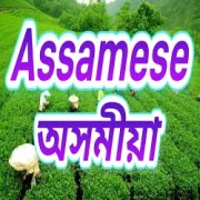 Logo de All India Radio Air Assamese