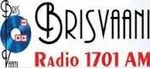 Logo de brisvaani