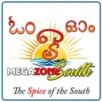 Logo de megazonesouth
