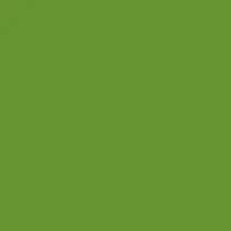 Logo de Cosmic Indo