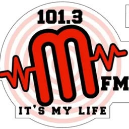 Logo de MFM 101.3