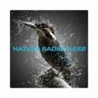 Logo de NATURE RADIO SLEEP