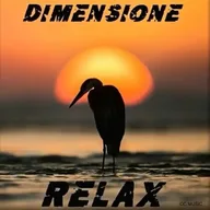 Logo de RADIO DIMENSIONE RELAX
