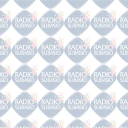 Logo de Subasio Collection