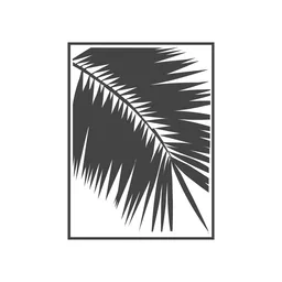 Logo de Palmera Blanca radio - Daystream