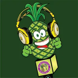 Logo de Bonita FM 95.1