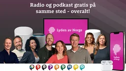 Logo de P4 – Lyden av Norge