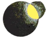 Logo de radio orbital