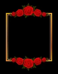Logo de Ady picyu
