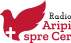 Logo de Aripi Spre Cer Instrumental