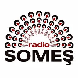 Logo de Someș Radio -Bistrițai 96.6 FM