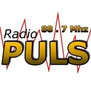 Logo de Puls