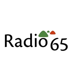 Logo de radio 65
