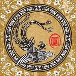 Logo de Xing Liming Palace - FengHuang FM