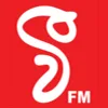 Logo de V FM