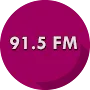 Logo de 91.5 FM Panzer Radio Station