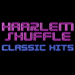 Logo de Haarlem Shuffle FLAC