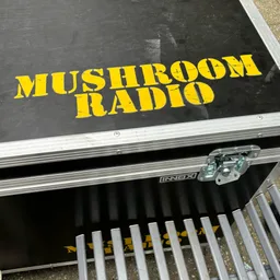 Logo de Mushroom Radio
