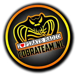 Logo de Non-Stop Cobra Team