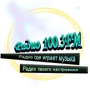 Logo de 100.3 FM