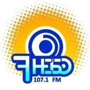 Logo de Седьмое небо Дедовичи 100.6 FM